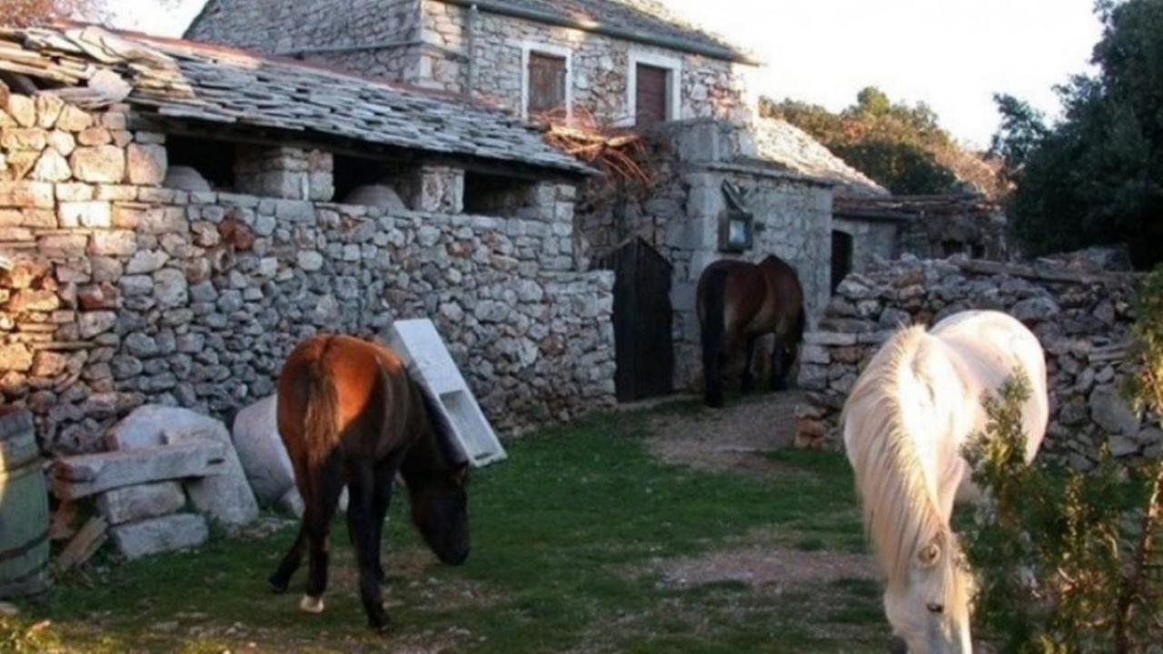 Holiday House Jakov Gdinj Экстерьер фото